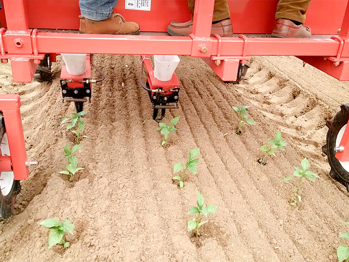 移栽機的結構特點有哪些？